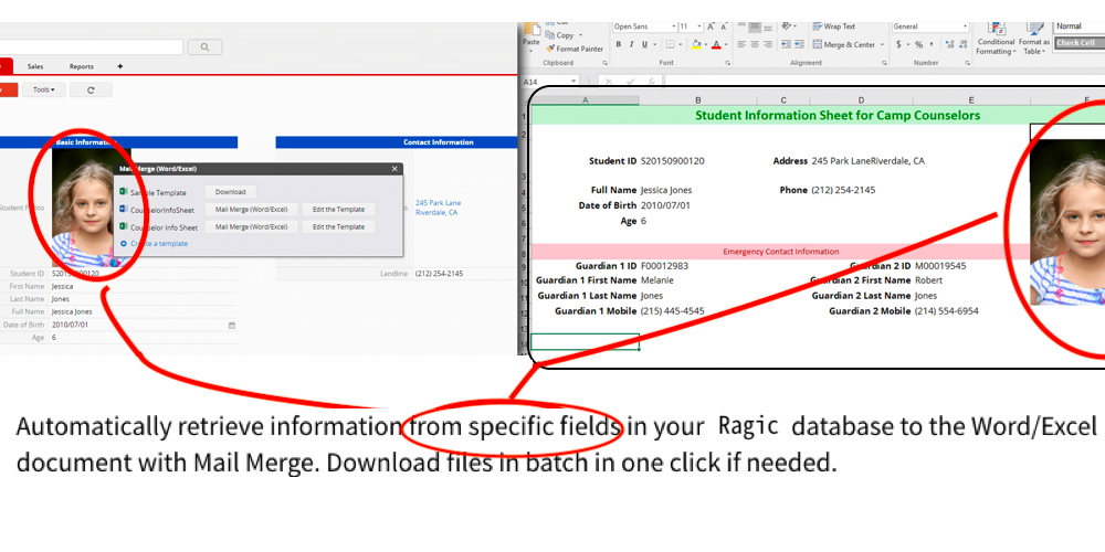 Automatically retrieve information from specific fields in your Ragic database to the Word/Excel document with Mail Merge. Download files in batch in one click if needed.