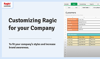 Customizing Ragic for your Company
