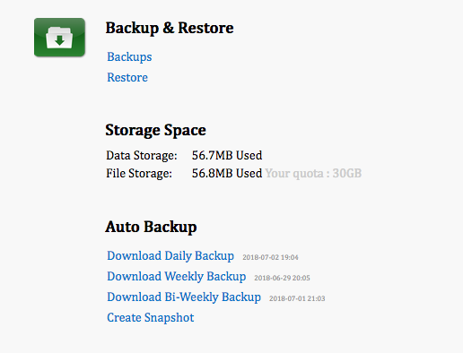 auto backup