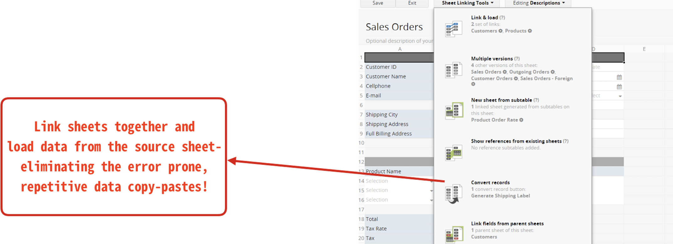 Link sheets together and load data from the source sheet- eliminating the error prone, repetitive data copy-pastes!