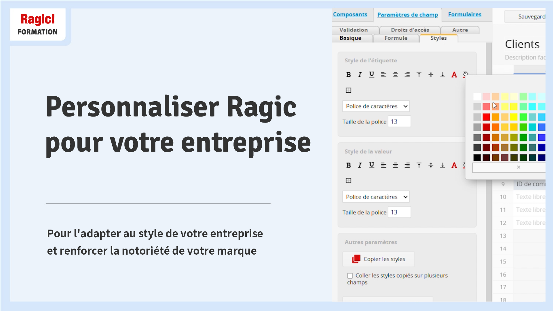 Personnaliser Ragic pour votre entreprise